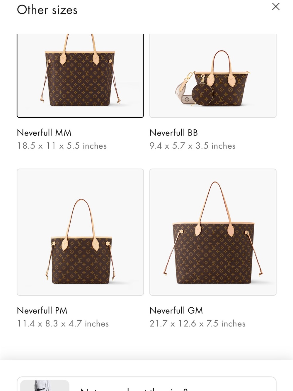 Louis Vuitton Neverfull - Picture 17 of 17